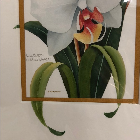 🏆2 Natalie McMahon Ltd Ed. Giclee Floral Prints - Picture 6 of 8